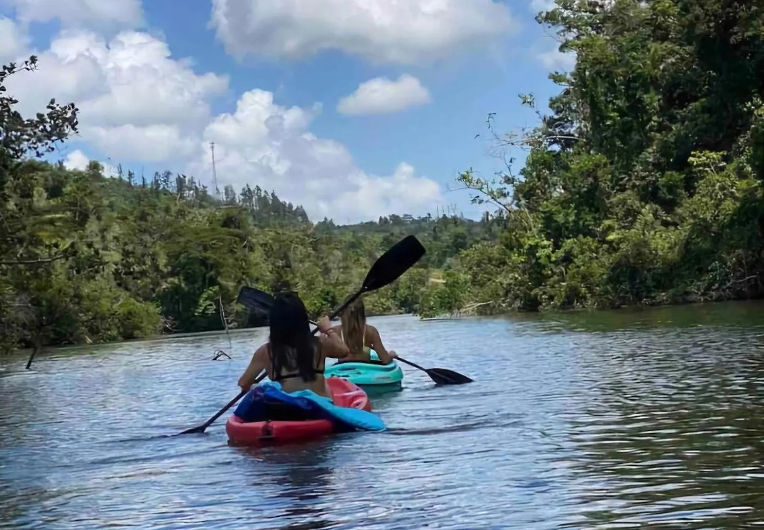 Hacienda Brisas Del Lago Βίλα Cidra